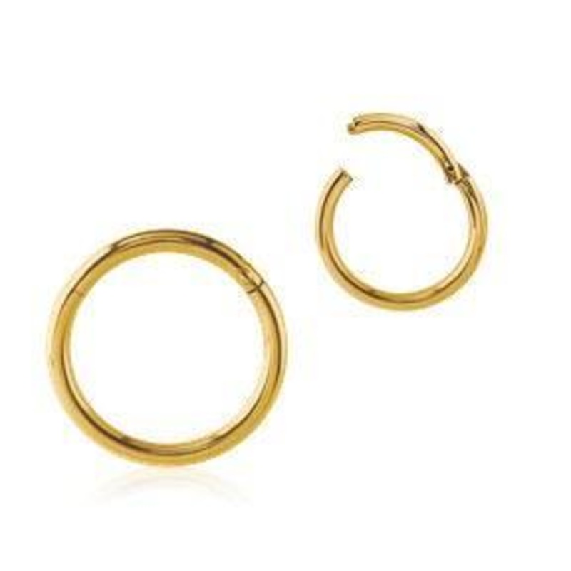 10g Gold Hinged Segment Ring 10g – 3/8″ diameter (10mm) Gold Stainless