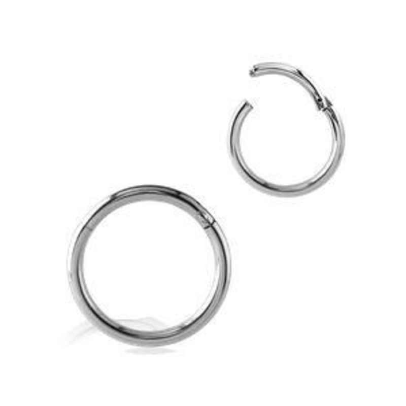 10g Stainless Steel Hinged Segment Ring 10g – 5/16″ diameter (8mm) Stainless Steel