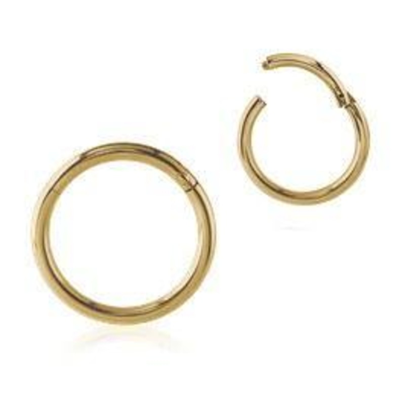 14g Zircon Gold Hinged Segment Ring 14g – 5/16″ diameter (8mm) Zircon Gold Stainless