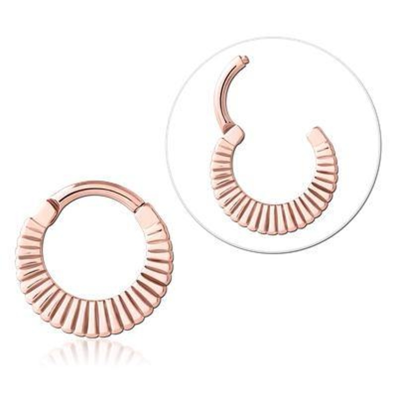 Radiant Rose Gold Hinged Segment Ring 16g – 5/16″ diameter (8mm) Rose Gold Stainless