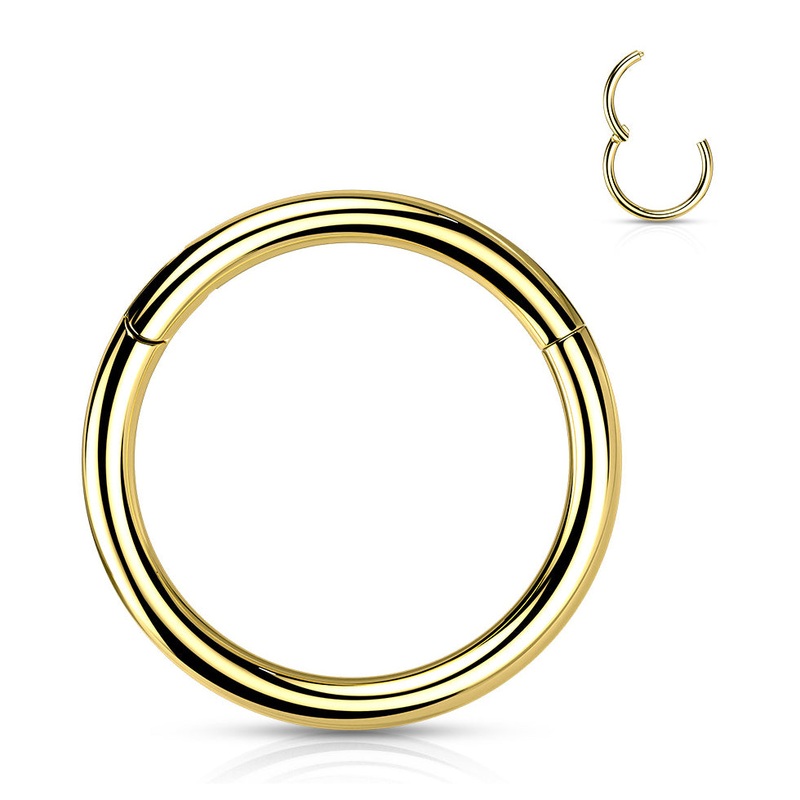 14g Gold Titanium Hinged Segment Ring 14g – 3/8″ diameter (10mm) Gold Titanium