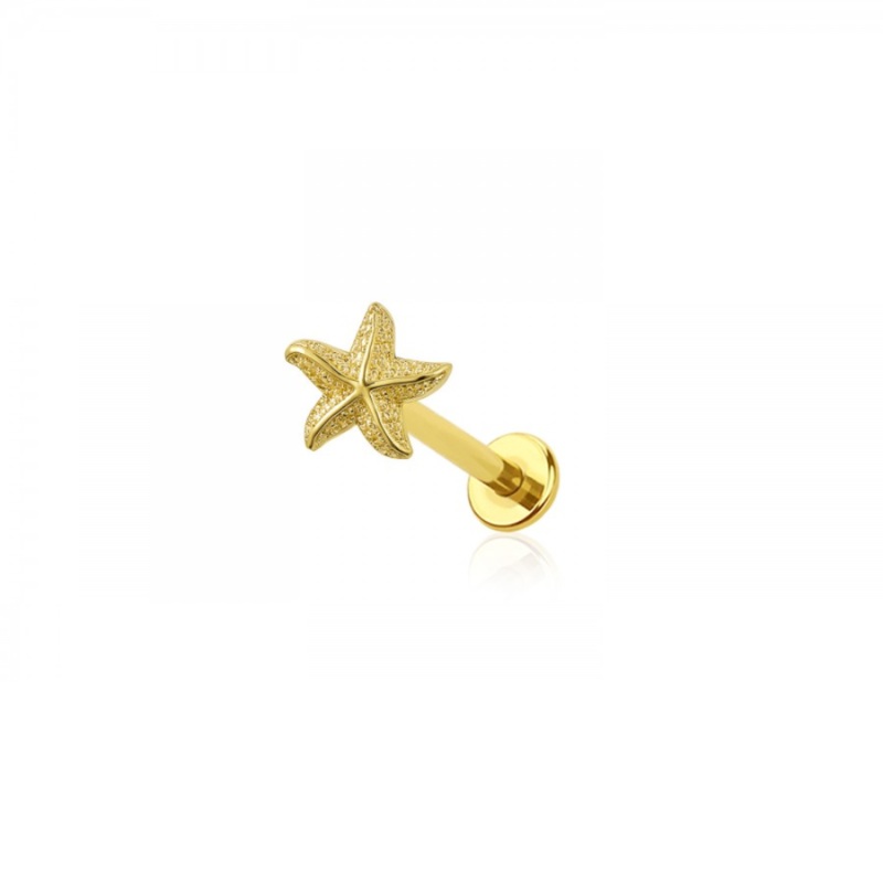 Threadless Push-In Starfish Flat Back Stud – 316L Stainless Steel Gold