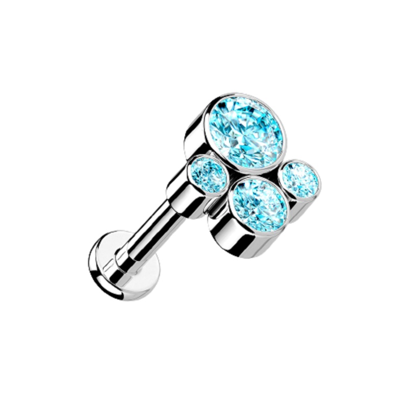 CZ Crystal Paw Print Internally Threaded Flat Back Stud – G23 Implant Grade Titanium Clear