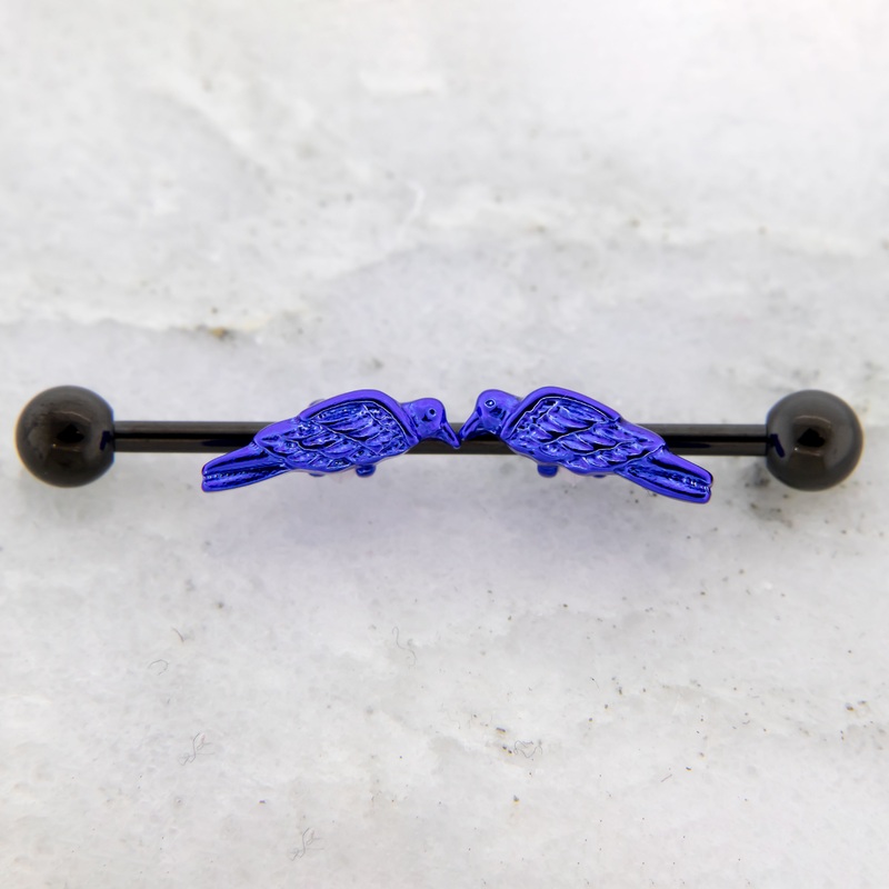 14G Raven Bird Industrial Barbell Black