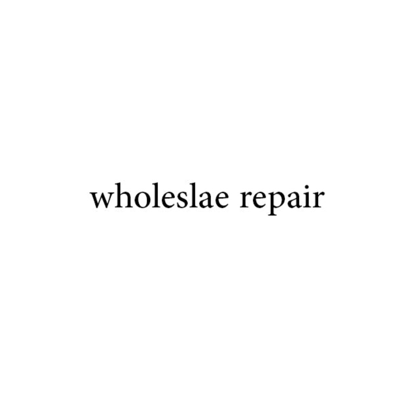 wholesale customer service(repair)