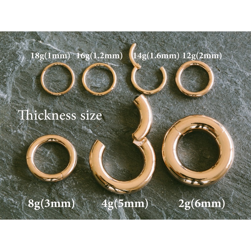 2PCS 316L Stainless Steel Round Hoop Tragus Helix Cartilage Conch Ring 16g Gold 6mm