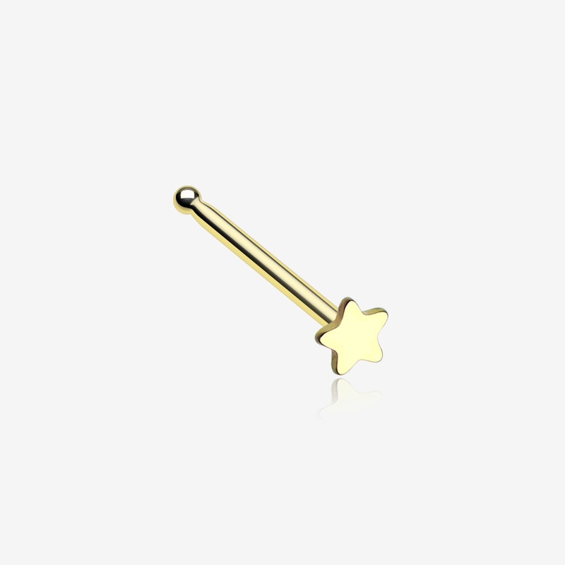 Golden Steel Star Nose Stud Ring