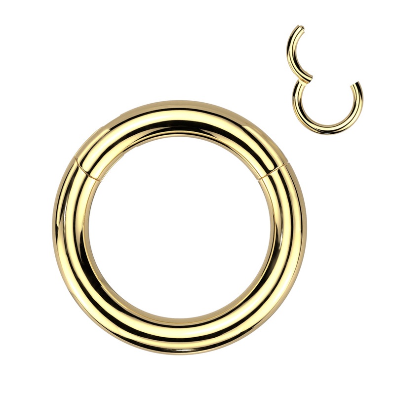 10g Gold Titanium Hinged Segment Ring 10g – 3/8″ diameter (10mm) Gold Titanium