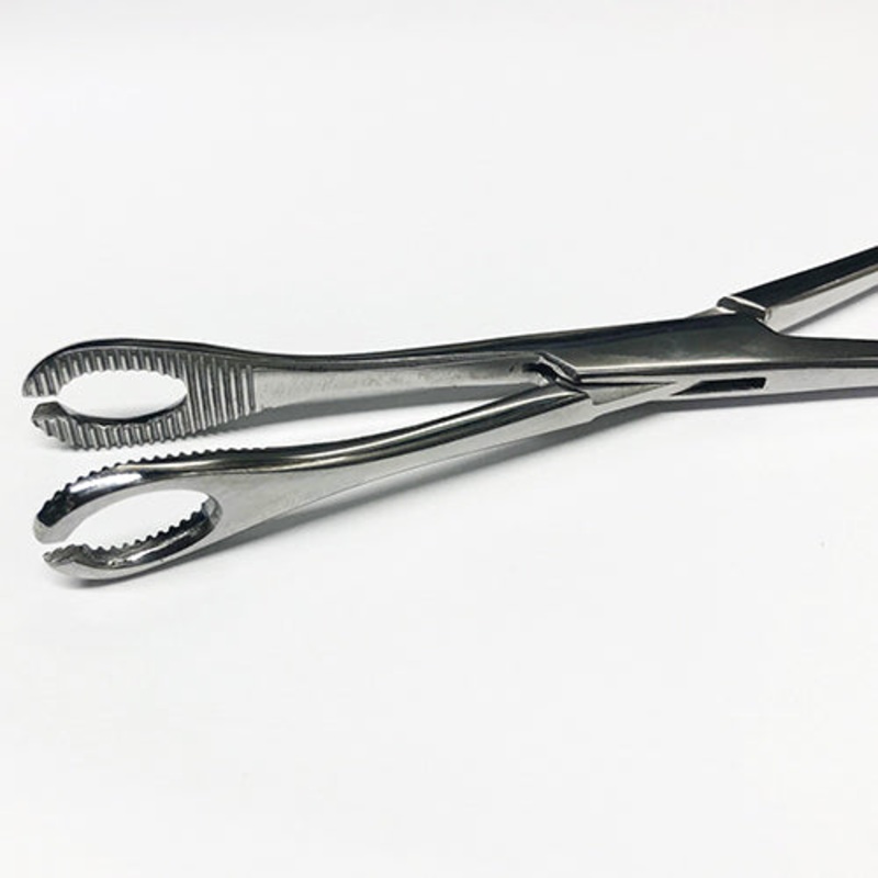 Sponge Forceps (Standard or Slotted) Standard Stainless Steel