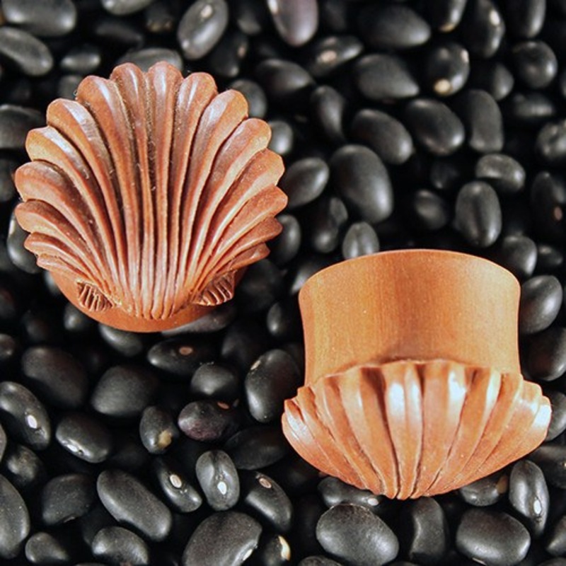 Ariel’s Shell Plugs by Urban Star Organics 2 gauge (6mm) Sabo Wood Pair