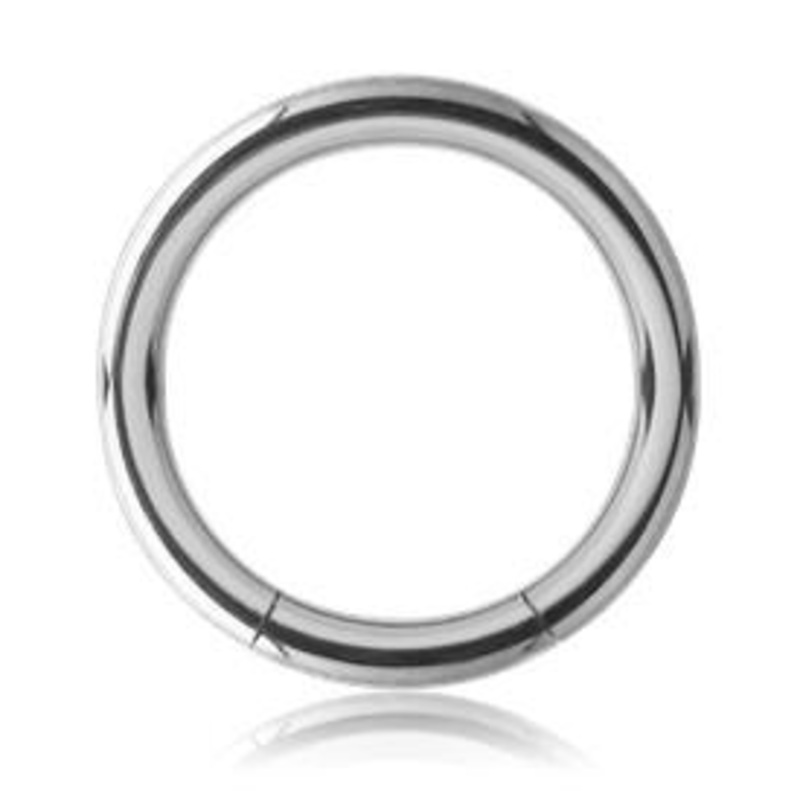 16g Stainless Segment Ring 16g – 3/8″ diameter (10mm) Stainless Steel